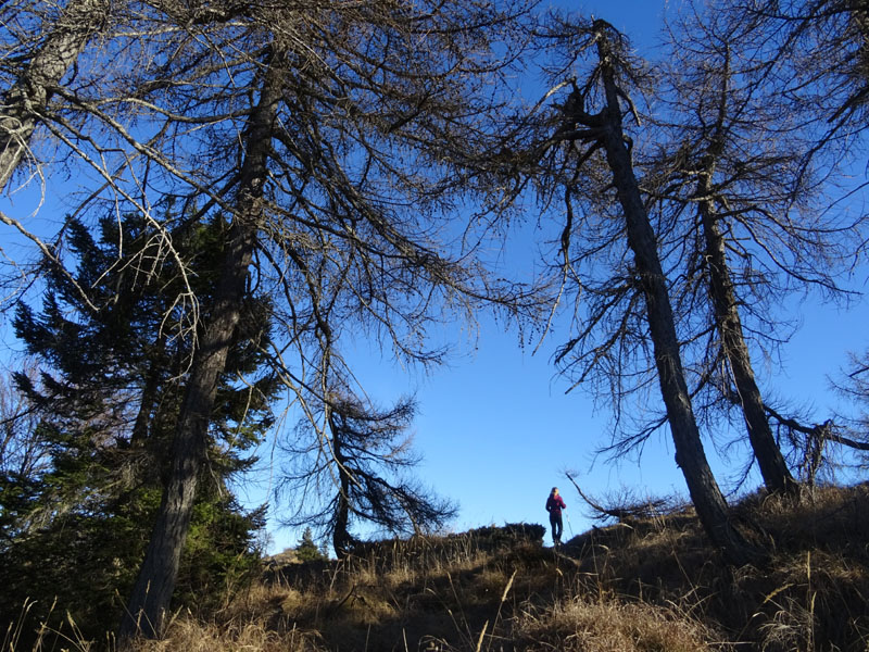 Corno di Tres - Corno del Cervo